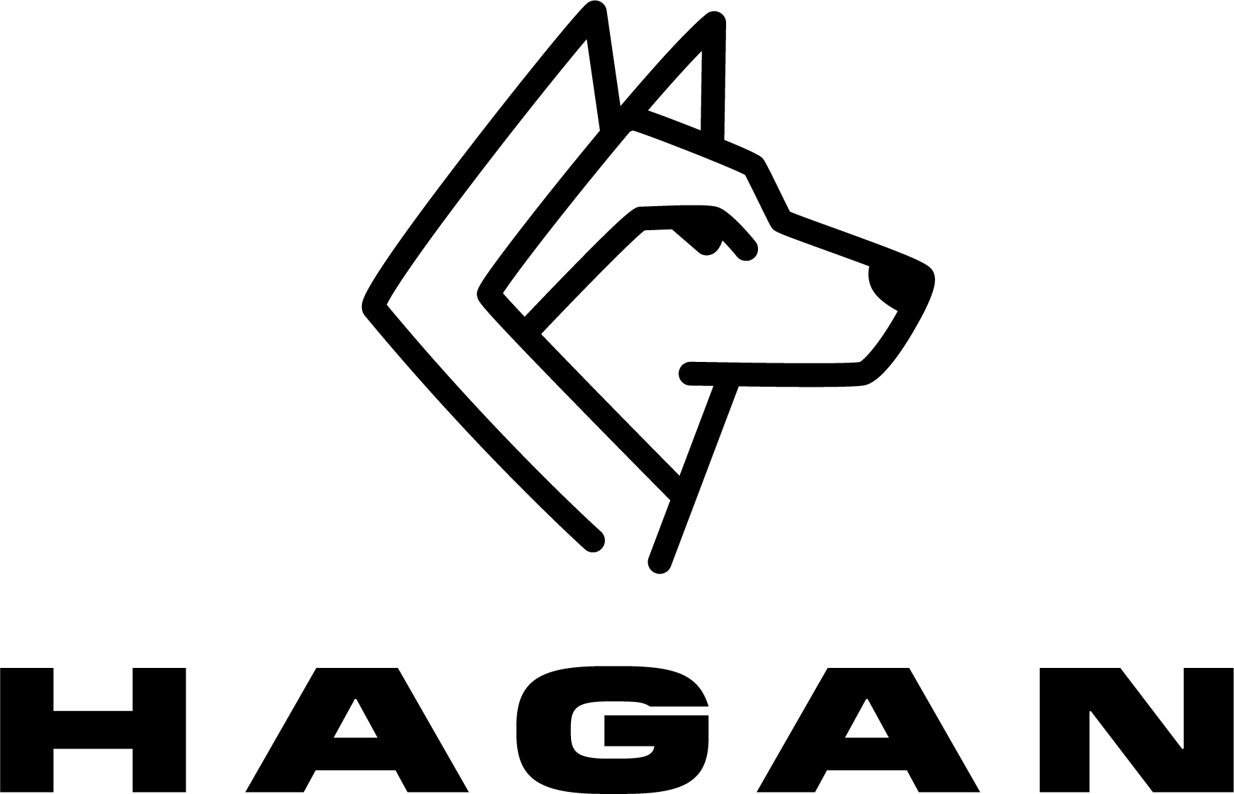 HAGAN Ski USA