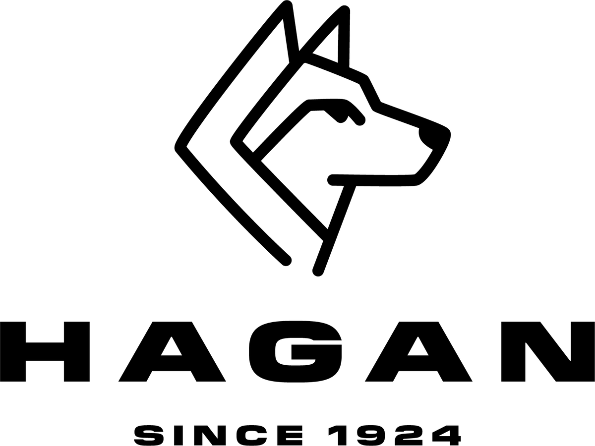 HAGAN Ski USA